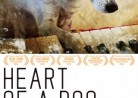 20161104映画「ハート・オブ・ドック〜犬が教えてくれた人生の練習〜」Heart of a Dog