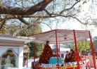 20181230観光インド「サールナート」 Sarnath
