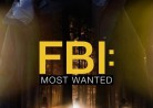 20221213WOWOWプライム「FBI: Most Wanted 3〜指名手配特捜班〜」毎週火曜午後11:00-