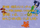 20240429ミュージアム「第８回横浜トリエンナーレ「野草 今、ここで生きてる」」WILD GRASS: OUR LIVES