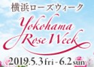20190519バラ「横浜ローズウィーク」Yokohama Rose Week 2019.5.3fri-6.2sun